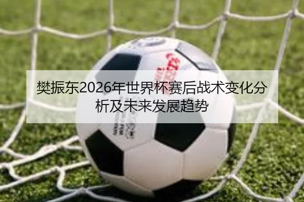 樊振东2026年世界杯赛后战术变化分析及未来发展趋势