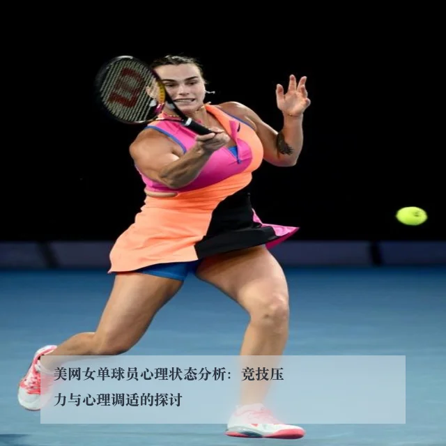 美网女单球员心理状态分析:竞技压力与心理调适的探讨